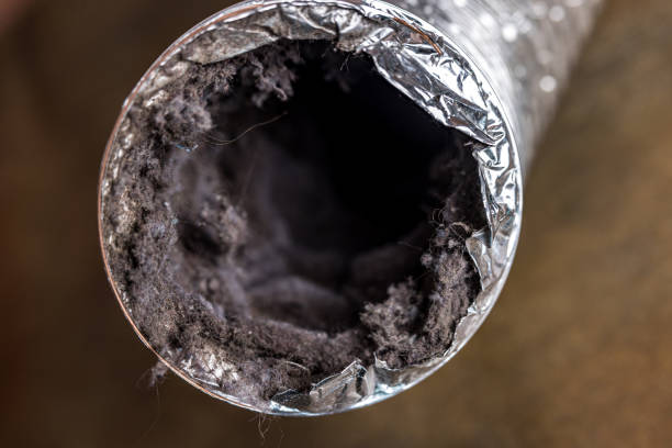 Best Home Air Vent Cleaning  in West Reading, PA